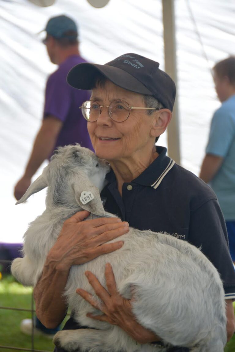 Pamela Haendle